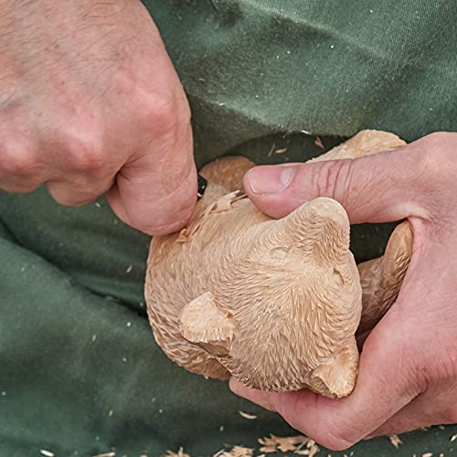 YIPLED Unfinished Basswood Carving Blocks Kit, 12 Pack Rectangular Wooden Blocks for DIY Carving, Crafting and Whittling for Adults Beginner and YIPLED