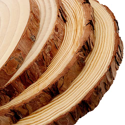 MUKCHAP 10 Pcs 6.3-7 Inch Natural Pine Wood Slices, 0.6 Inch Thick Unfinished Wood Discs for Festival Ornaments, Wedding Decoration, DIY Craft MUKCHAP