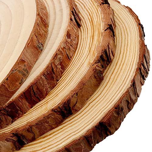 MUKCHAP 10 Pcs 6.3-7 Inch Natural Pine Wood Slices, 0.6 Inch Thick Unfinished Wood Discs for Festival Ornaments, Wedding Decoration, DIY Craft
