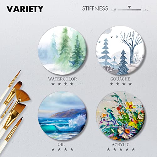 ARTIFY 15 Pieces Paint Brush Set, Intermediate Series, Includes Pop-Up Carrying Case with Palette Knife and 2 Sponges, for Acrylic, Oil, Watercolor ARTIFY art supplies