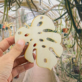 Summer-Ray 20 Wooden Monstera Leaves Laser Cutout DIY Craft Party Decoration Art Embellishment Room Decoration Summer-Ray.com