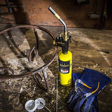 Bernzomatic Pre-Filled MAP-Pro Gas Torch Style Cylinder 14.1 oz - Pack of 2 Bernzomatic