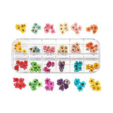 AGCFABS 1 Box Real Dried Flower Dry Plants Ammi Majus for UV Epoxy Resin Pendant Necklace Jewelry Making Craft Nail Art Decoration (5) AGCFABS