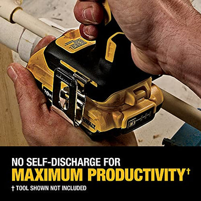 DEWALT 20V MAX Battery, Lithium Ion, 2 Ah and 4 Ah, 4-Pack, Fuel Gauge LED Charge Indicators (DCB324-4) - WoodArtSupply