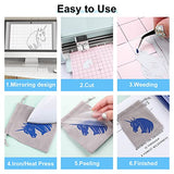 CAREGY HTV Vinyl Bundle Heat Transfer Vinyl(12 Pack) - 12 Inch by 3 Feet HTV Vinyl Rolls, Easy to Cut Iron on Vinyl for Cricut & Cameo, Easy to Weed CAREGY