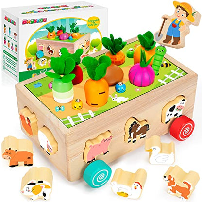 Toddlers Montessori Toys for 2,3,4 Year Old Baby Boys and Girls, Educational Wooden Shape Sorting Toys with Vegetables & Farm Animals Blocks, Fine