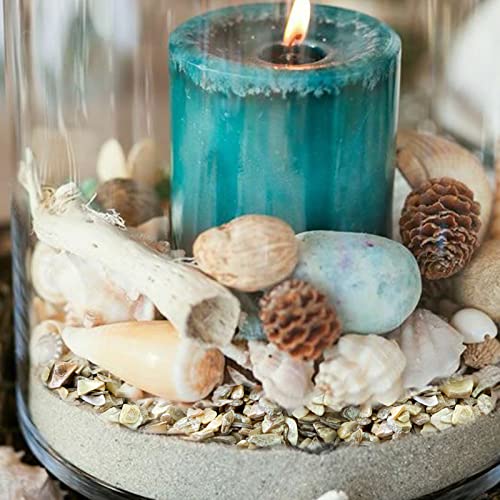 HappyFiller 1.4 Pound Broken Pieces Crushed Shells Chips Vase Filler Resin Arts,Succulents,Plants Top Dressing Soil Cover,Hotricultural Pebbles Grow HappyFiller