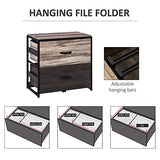 Vinsetto Office File Cabinet with 2 Large Drawers and Adjustable Metal Hanging Bars for A4, Letter and Legal Sized Files, Storage Organizer, Vinsetto