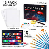 Shuttle Art 46 Pack Acrylic Paint Set, 30 Colors Acrylic Paint with 10 Paint Brushes 3 Painting Canvas 1 Paint Knife Palette Sponge, Complete Gift Shuttle Art