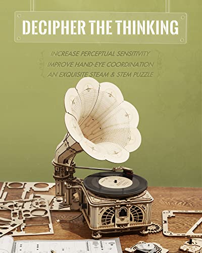 ROKR 3D Wooden Puzzles for Adults-Model Building Kit for Adults to Build-424Pcs DIY Wood Craft Kit-Room Decor for Men and Women ROKR