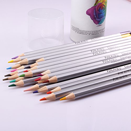 FUNLAVIE Colored Pencils 24 Coloring Pencils Premium Professional Art Drawing Pencil for Adults Coloring Book FUNLAVIE