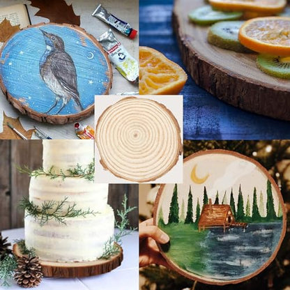 AKOLAFE 10 Pack Natural Wood Slices for Centerpieces Base Rustic Wood Slices for Crafts Large Wood Slice Ornaments Unfinished Wood Rounds Wooden - WoodArtSupply