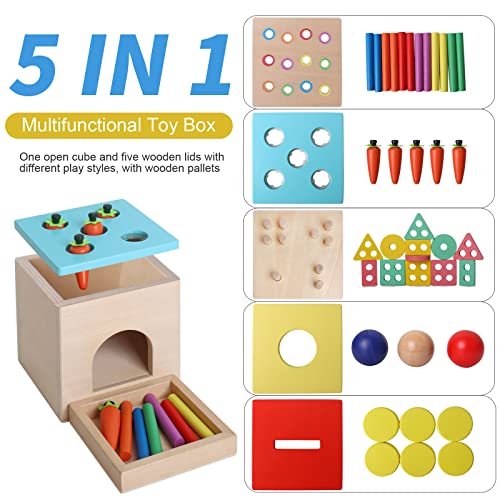 BESTAMTOY Wooden Montessori Toy for 1+ Year Old, Shape Sorter,Object Permanence Box, Coin Carrot Harvest, Toddler Learning Kid Age 1, 2, 3 Girl boy - WoodArtSupply