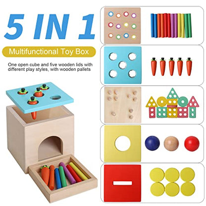 BESTAMTOY Wooden Montessori Toy for 1+ Year Old, Shape Sorter,Object Permanence Box, Coin Carrot Harvest, Toddler Learning Kid Age 1, 2, 3 Girl boy - WoodArtSupply