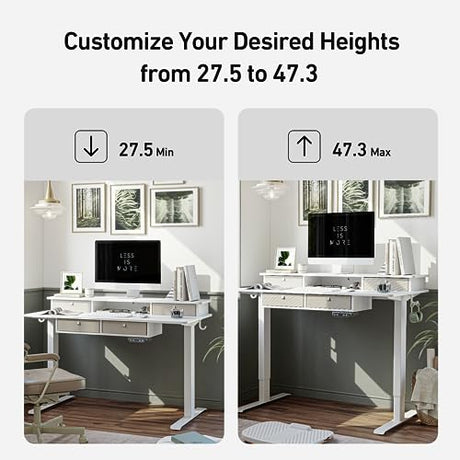 FEZIBO Sturdy Height Adjustable Electric Standing Desk with Drawers, 55 x 24 Inch Stand Up Table with Large Storage Shelf, Sit Stand Desk, White Top FEZIBO
