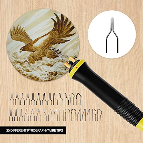FIRElood Wood Burning Tool, Wood Burner kit Pen 25~750℃, Wood Burning kit with Digital Thermometer Temperature Adjustable Temperature, 1 pyrographic FIRElood
