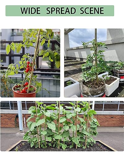 Moromyse 25 Pcs 4 Ft Bamboo Garden Stakes with 100 Ties Natural Bamboo Plant Stakes for Tomatoes Cucumber Grapes Pole Beans Trees Potted Dahlia Moromyse