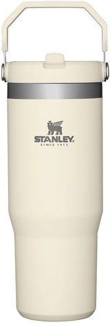 STANLEY IceFlow Stainless Steel Tumbler with Straw - Vacuum Insulated Water Bottle for Home, Office or Car - Reusable Cup with Straw Leak Resistant STANLEY