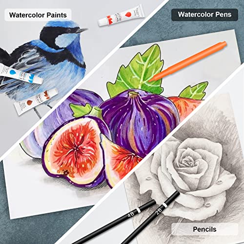 Art Supplies, 185 Piece Deluxe Wooden Art Set, Professional Art Kit with 2 Sketch Books, Crayons, Oil Pastels, Colored Pencils, Watercolor Paints, POPYOLA