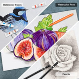 Art Supplies, 185 Piece Deluxe Wooden Art Set, Professional Art Kit with 2 Sketch Books, Crayons, Oil Pastels, Colored Pencils, Watercolor Paints, POPYOLA