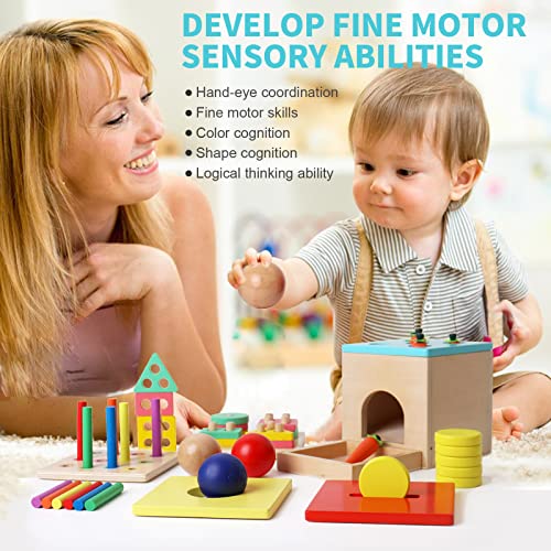 Picture Sorting Box, Learning Toys, Motor Activities & Learning, Toys