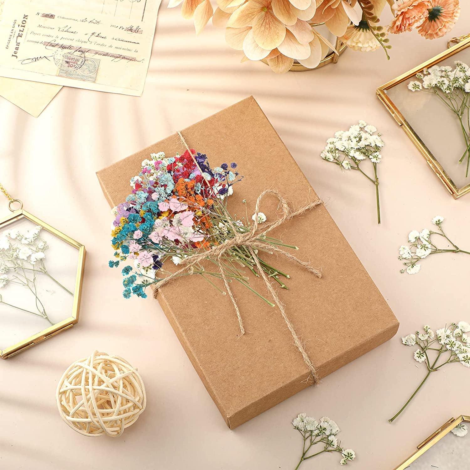 200 Pcs Resin Dried Flowers for Resin Dried Baby'S Breath Flowers Real Natural Pressed Flowers Gypsophila Bouquet Gypsophila Branches for Card Making WoodArtSupply