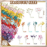 200 Pcs Resin Dried Flowers for Resin Dried Baby'S Breath Flowers Real Natural Pressed Flowers Gypsophila Bouquet Gypsophila Branches for Card Making WoodArtSupply