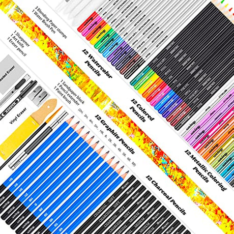 iBayam 78-Pack Drawing Set Sketching Kit, Pro Art Supplies with 75 Sheets 3-Color Sketch Pad, Coloring Book, Charcoal, Metallic, Colored Watercolor, iBayam