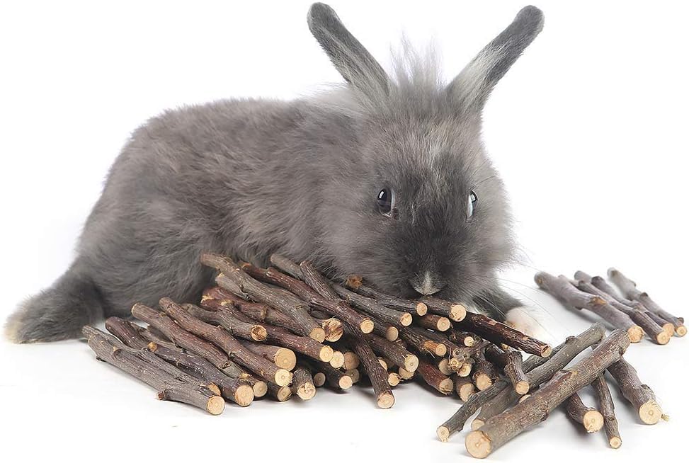 William Craft 250g Apple Sticks Pet Chew Toys Treats for Chinchilla Guinea Pigs Rabbits Squirrel Hamster Bunny (8.8 Ounce (Pack of 1)) William Craft
