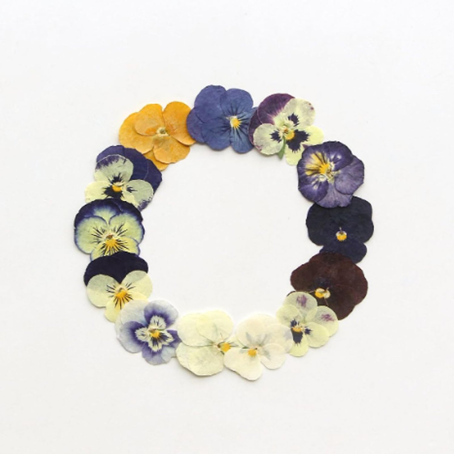 54 Pcs Dried Pressed Flowers for Resin DIY Art Crafts Natural Dry Floral Epoxy Jewelry Real Flower Decor Cakes Phone Cases Candles Handmade Soap TopFunny