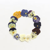 54 Pcs Dried Pressed Flowers for Resin DIY Art Crafts Natural Dry Floral Epoxy Jewelry Real Flower Decor Cakes Phone Cases Candles Handmade Soap TopFunny