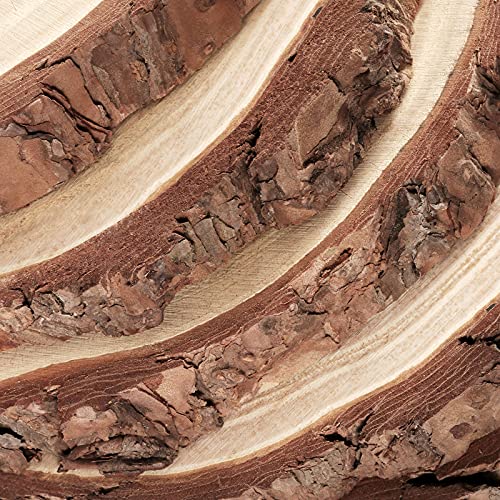 PINGEUI 10 Piece 7-8 Inch Natural Wood Slices, Unfinished Natural Wood Tree Slices with Bark, Large Round Tree Wood Discs Wooden Circles Tree Bark PINGEUI