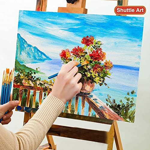Shuttle Art Acrylic Paint Set, 30 x12ml Tubes Artist Quality Non Toxic Rich Pigments Colors Great for Kids Adults Professional Painting on Canvas Shuttle Art