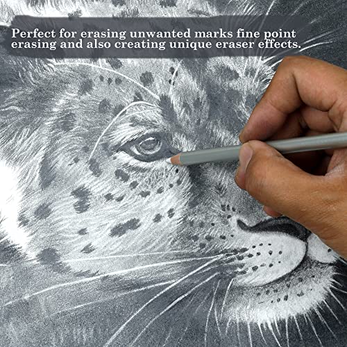 KALOUR Detail Eraser Pencil - 6pc Eraser Pencils with Brush and 2pc Sharpener,Erasing Small Details or add Highlights for Sketching, Charcoal KALOUR