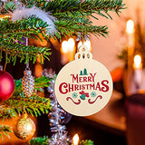 Large Size 7" Wooden Christmas Ornaments to Paint, DIY Blank Unfinished Round Wood Discs Ornament for Crafts Hanging Decorations(10PCS) Sophena