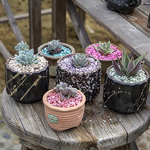 HappyFiller 1.4 Pound Broken Pieces Crushed Shells Chips Vase Filler Resin Arts,Succulents,Plants Top Dressing Soil Cover,Hotricultural Pebbles Grow HappyFiller