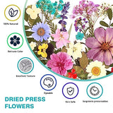 Resiners 100Pcs Dried Pressed Flowers for Resin Molds, Real Pressed Flowers Dry Leaves Kit for Art Crafts Resin Jewelry Making Scrapbook Supplies Resiners