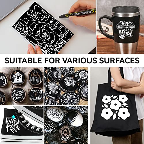 Tesquio Paint Marker, Dual Tip Acrylic Paint Pens, 8 Pack Black & White Paint Pens Ideal for Wood, Rock Painting, Canvas, Stone, Glass, Ceramic Tesquio