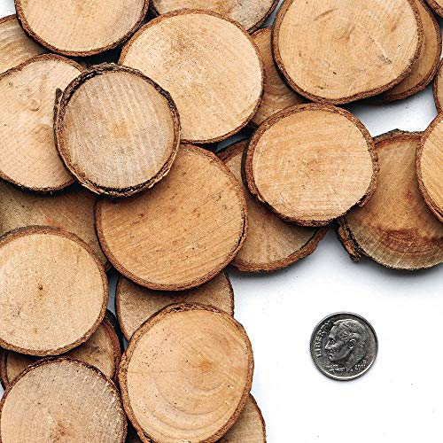 Colorations Natural Wood Craft Rounds, 50 Pieces w/ Bark, 1 3/4 inch to 2 3/8 inches Recycled, Branches, Smooth, Arts & Crafts, Nature Colorations