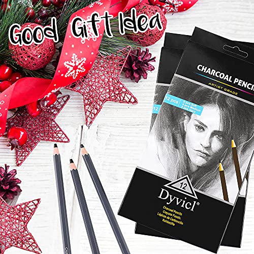 Dyvicl Professional Charcoal Pencils Drawing Set - 12 Pieces Soft, Medium & Hard Charcoal Pencils for Drawing, Sketching, Shading, Artist Pencils for Dyvicl