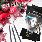 Dyvicl Professional Charcoal Pencils Drawing Set - 12 Pieces Soft, Medium & Hard Charcoal Pencils for Drawing, Sketching, Shading, Artist Pencils for Dyvicl