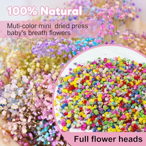 3000 PCS Bulk Small Mini Dried Flowers for Resin Crafts, Tiny Real Dried Baby's Breath Gypsophila Flowers for Resin Supplies-Candle Making, Soap - WoodArtSupply