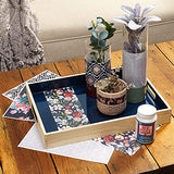 Mod Podge Super Thick Gloss (8-Ounce), CS11297 Mod Podge