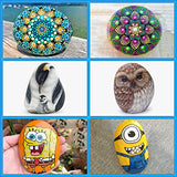 ROCART 12 Extra Large Smooth River Rocks for Painting, Flat Painting Rocks About 4 to 5 Inches in Length Perfect for Kindness Stones, Arts and ROCART