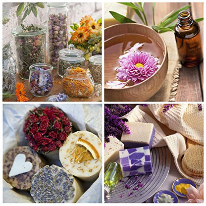 9 Bags Dried Flowers,100% Natural Dried Flowers Herbs Kit for Soap Making, DIY Candle Making,Bath - Include Rose Petals,Lavender,Don't Forget - WoodArtSupply