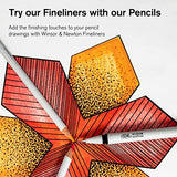 Winsor & Newton 0490025 Studio Collection, 6 Count (Pack of 1), Charcoal Pencils Winsor & Newton