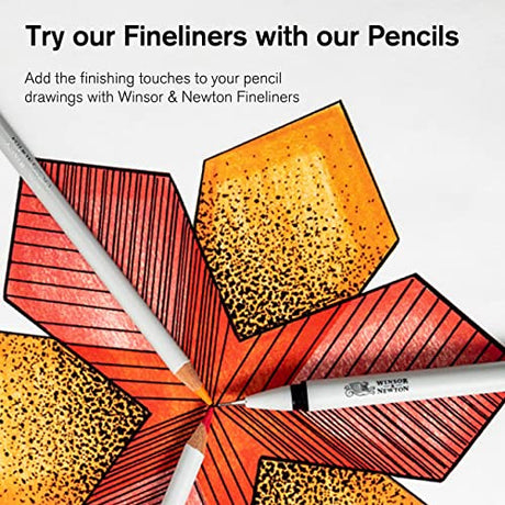 Winsor & Newton Studio Collection Artist Pencils, Color Pencils, Set of 24 Winsor & Newton