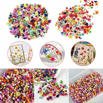 710pcs DIY Dried Flowers Scattered Aromatherapy Candle Epoxy Resin Pendant - WoodArtSupply