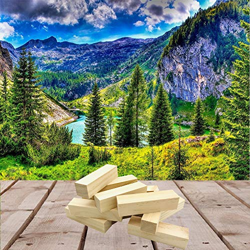 Fycooler Basswood Carving Blocks Whittling Wood Carving Blocks Basswood for Carving Unfinished Wood for Crafts Wooden Block Set Bass Wood for Wood Fycooler