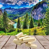 Fycooler Basswood Carving Blocks Whittling Wood Carving Blocks Basswood for Carving Unfinished Wood for Crafts Wooden Block Set Bass Wood for Wood Fycooler